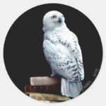 Hedwig On Books Classic Round Sticker