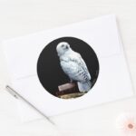 Hedwig On Books Classic Round Sticker