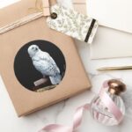 Hedwig On Books Classic Round Sticker
