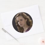 Hermione Granger 4 Classic Round Sticker
