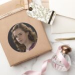 Hermione Granger 4 Classic Round Sticker