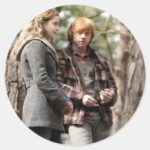 Hermione Ron And Harry 2 Classic Round Sticker