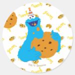 Its A Cookie Party Pattern Classic Round Sticker