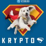 Krypto the Superdog with Superman S