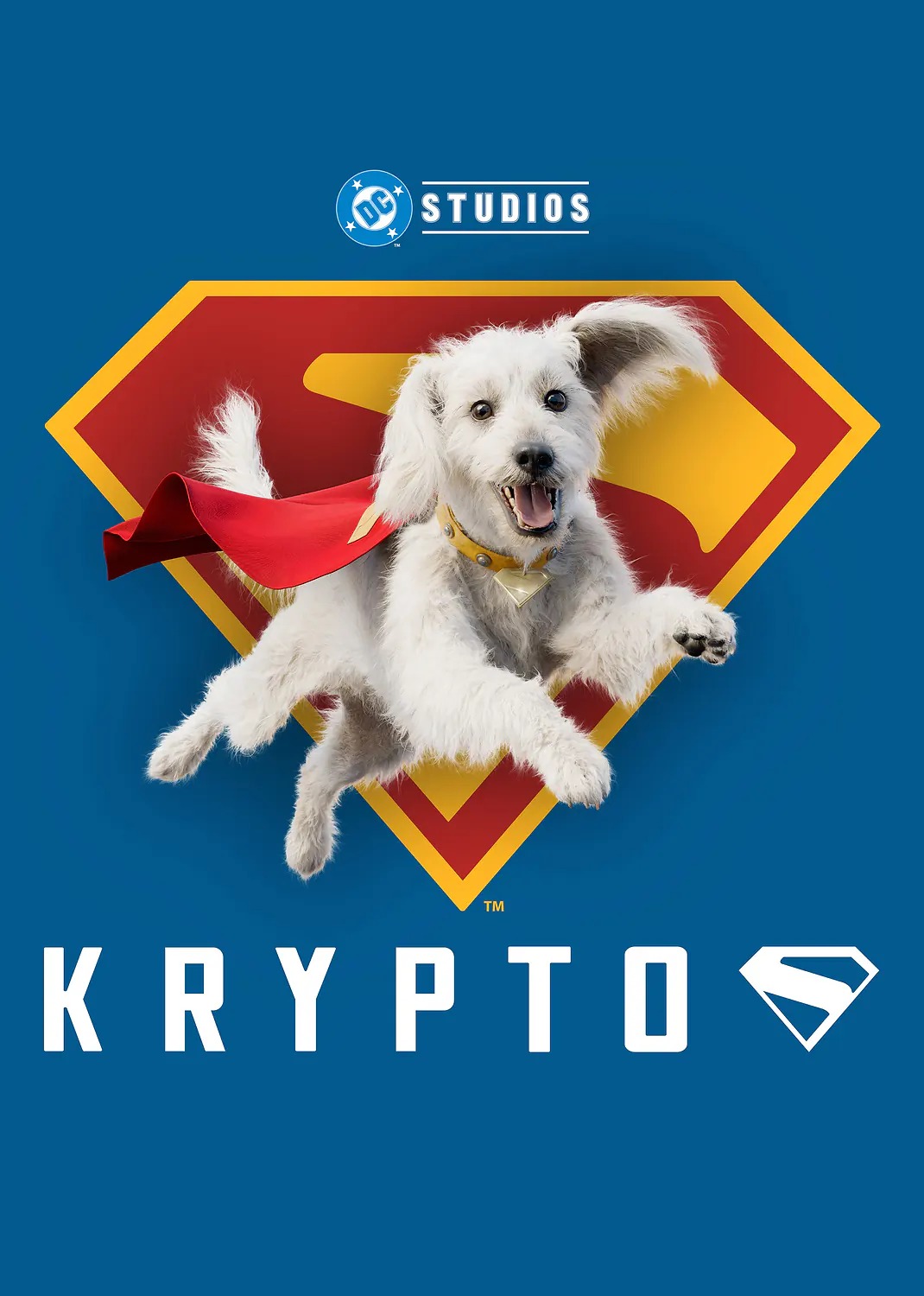 Krypto the Superdog with Superman S