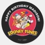 LOONEY TUNES™ Character Group Birthday Classic Round Sticker