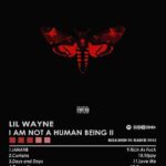 Lil Wayne Album Music Poster