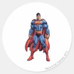 Looking Straight On Classic Round Sticker