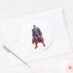 Looking Straight On Classic Round Sticker