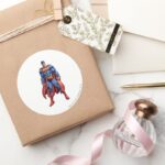 Looking Straight On Classic Round Sticker