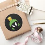 MARVIN THE MARTIAN™ Angry Face Classic Round Sticker