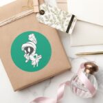 MARVIN THE MARTIAN™ Expressive Classic Round Sticker