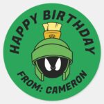 MARVIN THE MARTIAN™ Mad Happy Birthday Classic Round Sticker