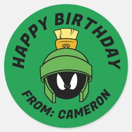 MARVIN THE MARTIAN™ Mad Happy Birthday Classic Round Sticker