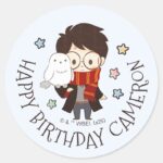 Magical HARRY POTTER™ And Hogwarts Birthday Classic Round Sticker