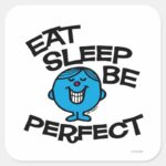 Mr. Perfects Plan For Life Square Sticker