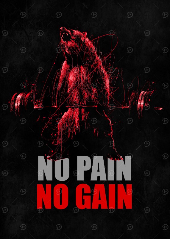 No Pain No Gain Gym Bear Poster