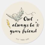 Owl Always Be Your Friend Classic Round Sticker