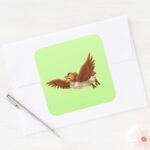 Owl Square Sticker