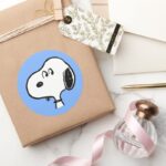 Peanuts Snoopy Looks Classic Round Sticker