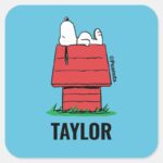 Peanuts Snoopy Napping Square Sticker