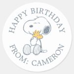 Peanuts Snoopy Woodstock Hug Happy Birthday Classic Round Sticker