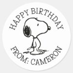 Peanuts Snoopy Happy Birthday Classic Round Sticker
