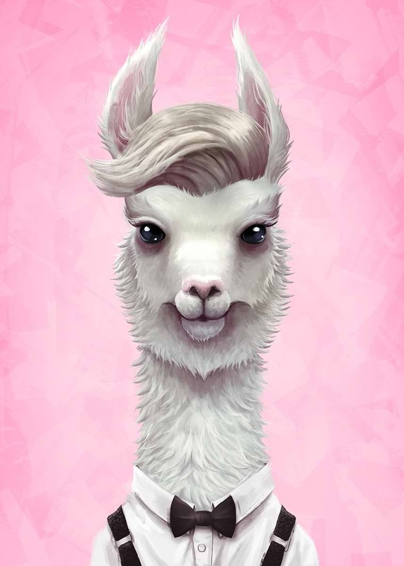 Pink Llama Poster
