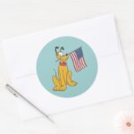 Pluto Freedom Classic Round Sticker