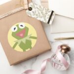 Pook A Looz Kermit The Frog Classic Round Sticker