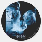 Prisoner Of Azkaban Spanish 1 Classic Round Sticker