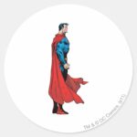 Profile View Classic Round Sticker