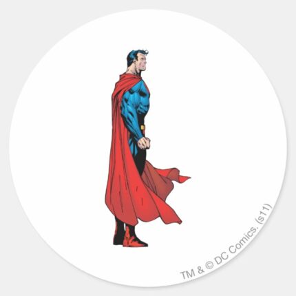 Profile View Classic Round Sticker