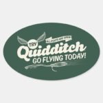 QUIDDITCH™ Recruitment Poster Oval Sticker