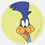 ROAD RUNNER™ Face Classic Round Sticker