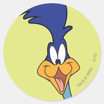ROAD RUNNER™ Face Classic Round Sticker