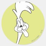 ROAD RUNNER™ Tongue Classic Round Sticker