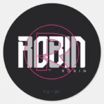 Robin Hi Tech Name Graphic Classic Round Sticker