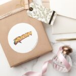 Robin Name Logo Classic Round Sticker
