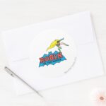 Robin The Teen Wonder Classic Round Sticker