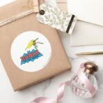 Robin The Teen Wonder Classic Round Sticker