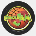 SPACE JAM™ Basketball Logo Classic Round Sticker
