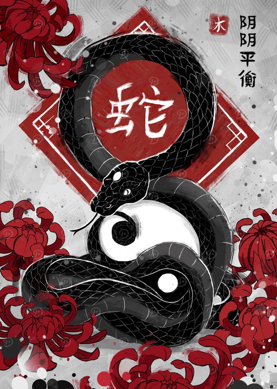 Snake Balance Yin Yang Poster
