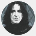 Snape 1 Classic Round Sticker
