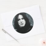 Snape 1 Classic Round Sticker