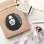 Snape 1 Classic Round Sticker