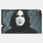 Snape 1 Rectangular Sticker