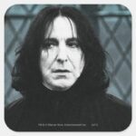 Snape 1 Square Sticker