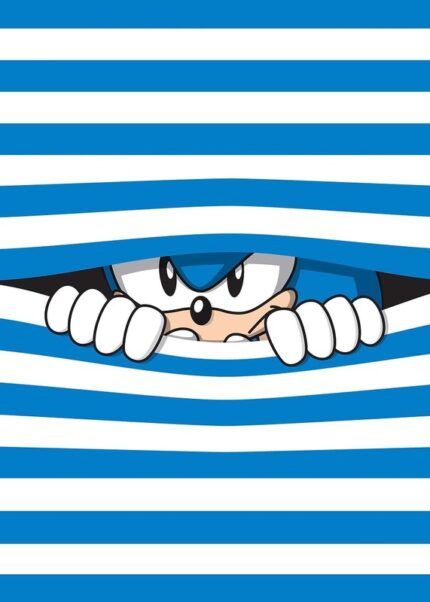 Sonic Stripes Poster