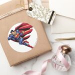 Superman 73 Classic Round Sticker